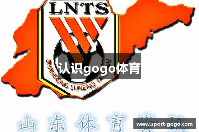 认识gogo体育